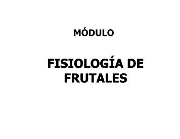 4 CUAJADO DE FRUTOS.pdf