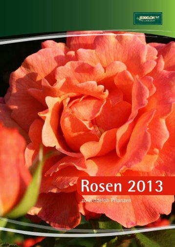 Rosensortiment 2013 online - zu Jeddeloh