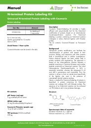 N-terminal Protein Labeling Kit - Jena Bioscience