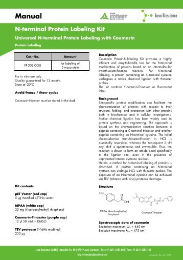 N-terminal Protein Labeling Kit - Jena Bioscience