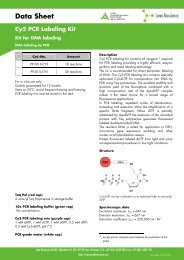 Data Sheet Cy5 PCR Labeling Kit - Jena Bioscience