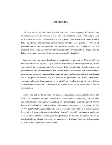 INTRODUCCIÓN En atención al creciente interés que han suscitado ...