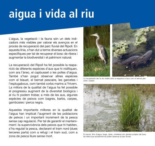 Descobreix el Parc Fluvial del riu Ripoll - Ajuntament de Sabadell