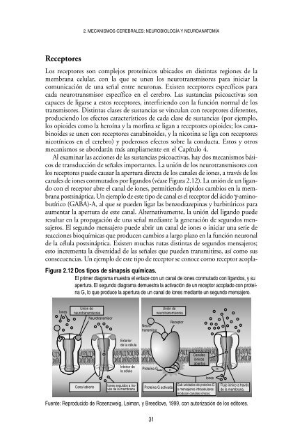 Neurociencia del consumo y dependencia de sustancias psicoactivas