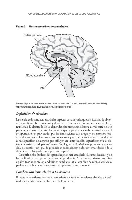 Neurociencia del consumo y dependencia de sustancias psicoactivas