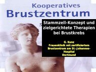 Stammzellkonzept und zielgerichtete Therapien bei Brustkrebs