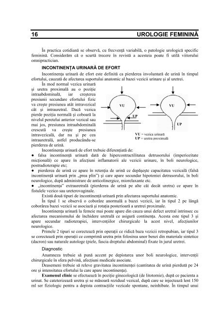 UROLOGIE - Cursuri Medicina