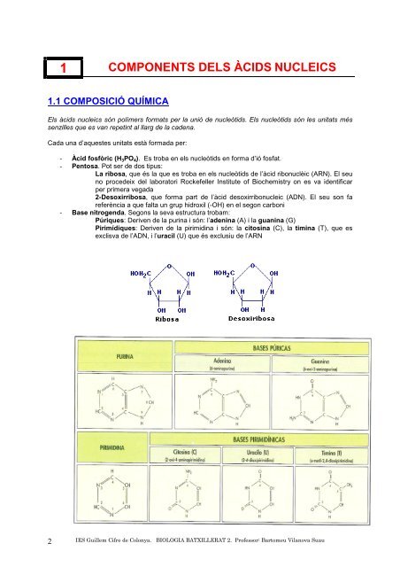 apunts 5 - IES Guillem Cifre de Colonya