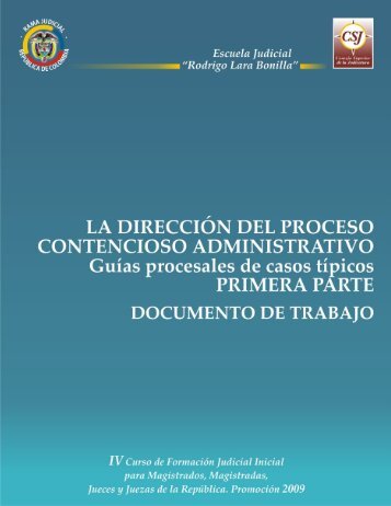 La Dirección del Proceso Contencioso Administrativo