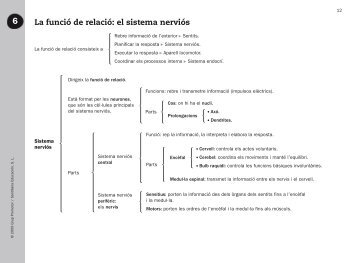 La funció de relació: el sistema nerviós