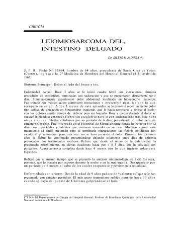 LEIOMIOSARCOMA DEL, INTESTINO DELGADO - CIDBIMENA