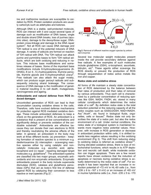 Free radicals, oxidative stress and importance of antioxidants in ...