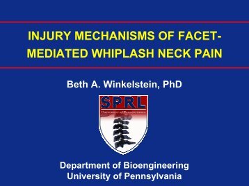 Role of Biomechanics & Neural Plasticity in Radicular Pain