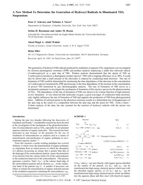 A New Method To Determine the Generation of Hydroxyl Radicals in ...