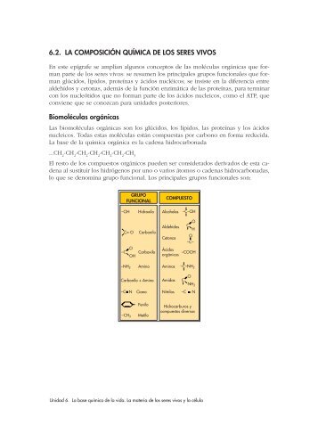 Composición química de los seres vivos - ies "poeta claudio ...