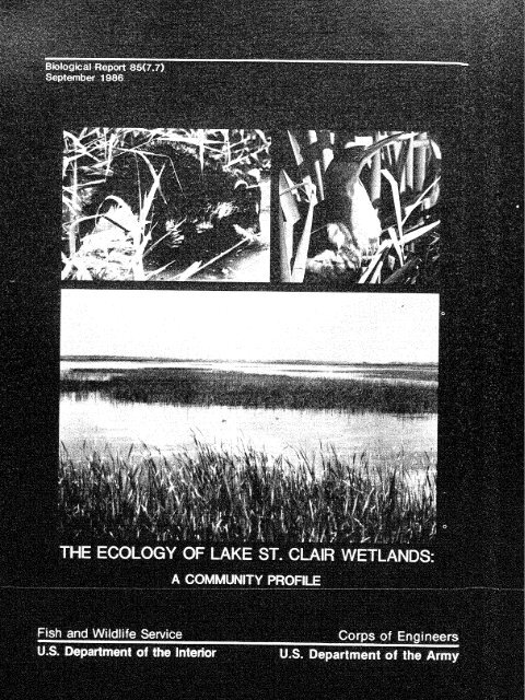 The Ecology of Lake St. Clair Wetlands: A Community Profile