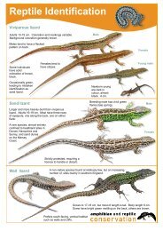 ARC%20reptile%20guide%201234%20hi%20res