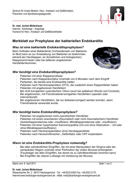 Merkblatt zur Prophylaxe der bakteriellen Endokarditis - Kardiologie ...