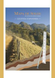 Mapa de Solos do Estado de Minas Gerais - Legenda Expandida