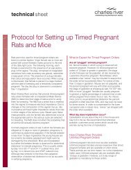Protocol for Setting up Timed Pregnant Rats and Mice