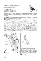 Gallicolumba platenae - BirdBase