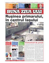 Ru[inea primarului, \n centrul Ia[ului - Buna Ziua Iasi