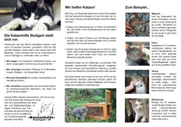 Flyer der Katzenhilfe - Katzenhilfe Stuttgart eV