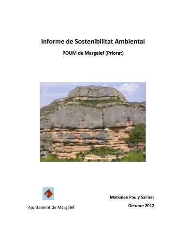 Informe de Sostenibilitat Ambiental Margalef 2012