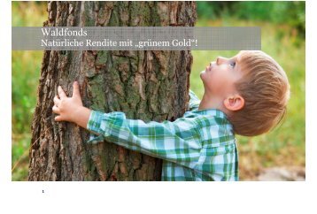 Steigende Holzpreise - Thomas Kerscher Consulting