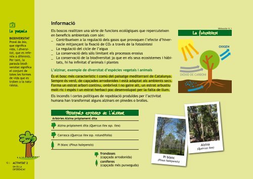 EDUbosc. Guia per a l'alumnat - Consorci Forestal de Catalunya