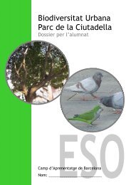 Biodiversitat Urbana Parc de la Ciutadella