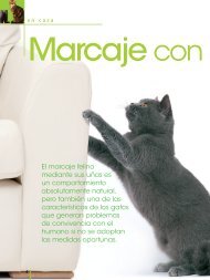 El Gato en casa - Royal Canin