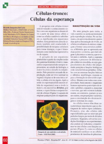 Células-tronco: Células da esperança - CFMV