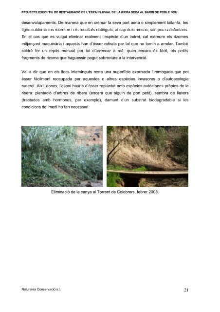 PROJECTE EXECUTIU DE RESTAURACIÓ DE L'ESPAI FLUVIAL ...