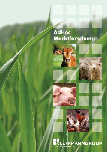 AdHoc Marktforschung - Kleffmann