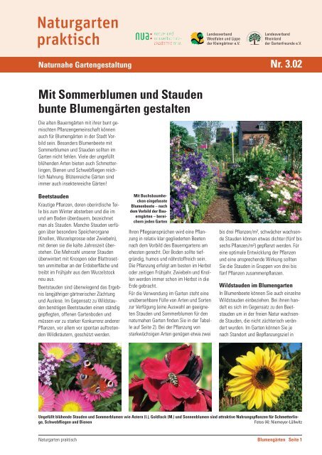 Mit Sommerblumen und Stauden bunte Blumengärten gestalten