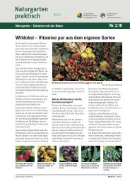 Wildobst â Vitamine pur aus dem eigenen Garten - und ...