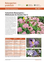 Blühkalender für Stauden (Teil 1) - und Umweltschutz-Akademie ...