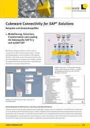 Cubeware Connectivity for SAP® Solutions - Klesse & Co.