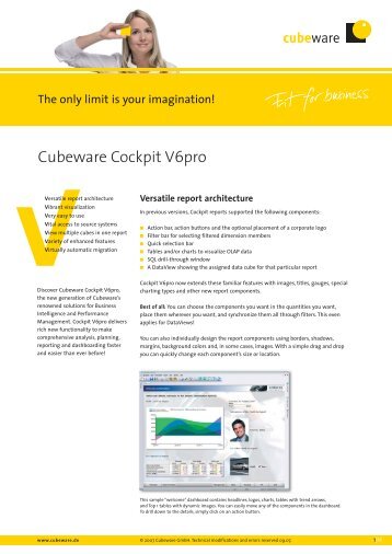 Handout_Cockpit V6pro-eng