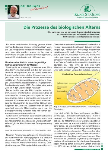 Download als PDF - Klinik St. Georg