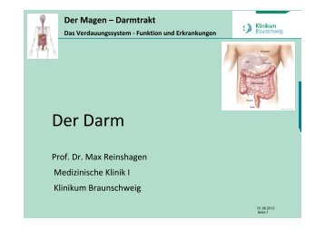 Handout zum Vortrag "Der Darm" - Städtisches Klinikum ...