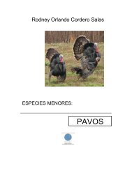 Modulo pavos resumido.pdf - Página de inicio