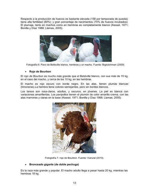 Modulo pavos resumido.pdf - Página de inicio