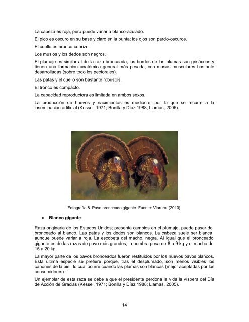 Modulo pavos resumido.pdf - Página de inicio