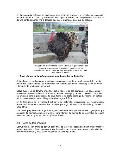 Modulo pavos resumido.pdf - Página de inicio