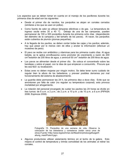 Modulo pavos resumido.pdf - Página de inicio