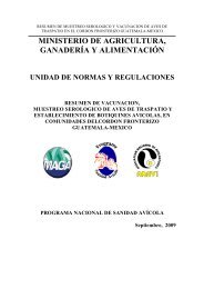 resuinforme ejcutivo prosa cordon fronterizo 09 - oirsa