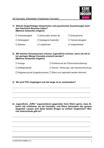 Fragebogen Cannabis