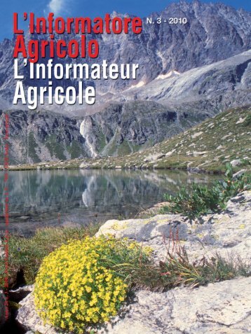 Visualizza la rivista in formato PDF - Regione Autonoma Valle d'Aosta